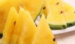 吃瓜网 吃瓜黑料,吃瓜黑料背后的真相与争议