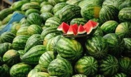 吃瓜黑料精品一区 往期热点热门大瓜,往期热点大瓜盘点