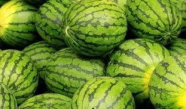 吃瓜大赛 国内吃瓜爆料黑料,国内爆料黑料背后的真相与争议