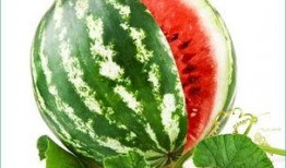 吃瓜黑料精品一区 往期热点热门大瓜,往期热点大瓜盘点