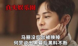 娱乐圈脏到什么程度 网曝黑料门,揭秘娱乐圈的黑暗面